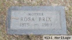 Rosa Brix