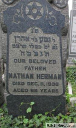 Nathan Herman