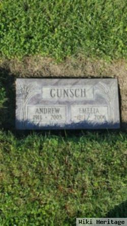 Andrew Gunsch