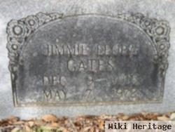 Jimmie Leora Gates