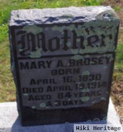 Mary A. Druckenmiller Brosey