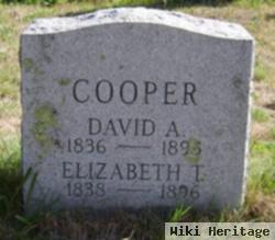 David A. Cooper