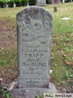 Hubert Howard Tripp