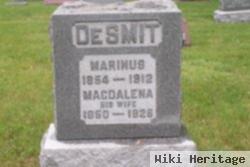 Marinus Desmit