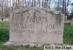 Mary Mollie Reavis Farris