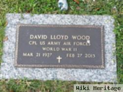 David Lloyd Wood