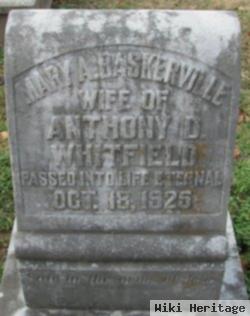 Mrs Mary A Baskerville Whitfield