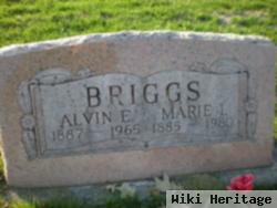 Alvin E Briggs