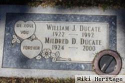 William J Ducate