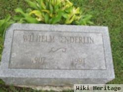 Wilhelm Enderlin