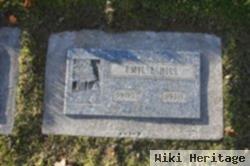 Emil E Hill