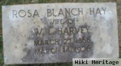 Rosa Blanch Hay Harvey