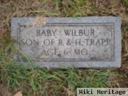 Harry Wilbur Trapp