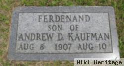 Ferdenand Kaufman