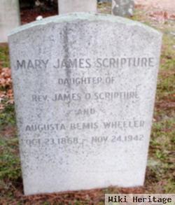 Mary James Scripture