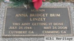 Anna Bridget Brim Linzey