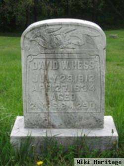 David W Hess