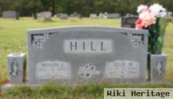 Allie M. Hill