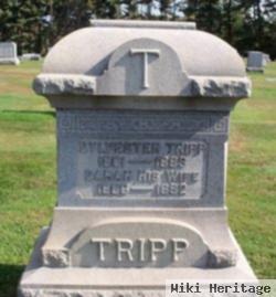 Sylvester Tripp