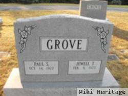 Paul S Grove