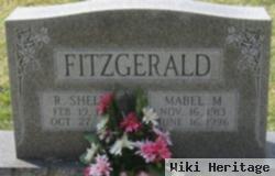 Robert Shelby Fitzgerald