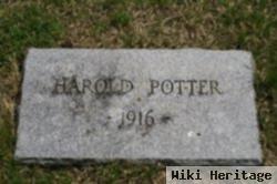 Harold Potter