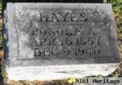 Panola A. Hayes