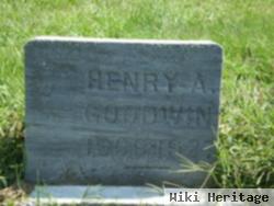 Henry A Goodwin