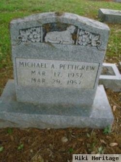 Michael A Pettigrew