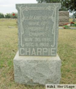 Elizabeth Charpie