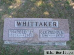 Harold J Whittaker