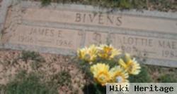 James E. Bivens, Sr