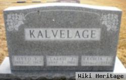 Carrie J. Beiriger Kalvelage