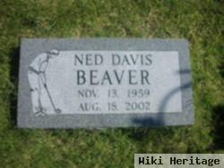 Ned Davis Beaver