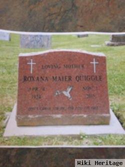 Roxana Maier Quiggle