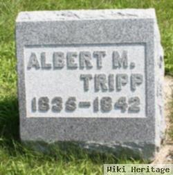 Albert M. Tripp