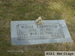 Wayne Carpenter