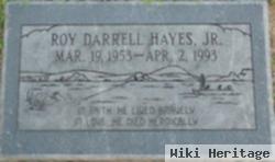 Roy Darrell Hayes, Jr