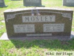 Robert Eli Mosley