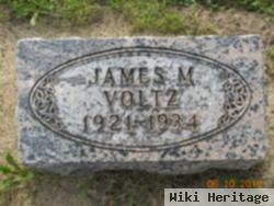 James M Voltz