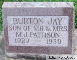 Burton Jay Pattison