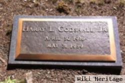 Harry A Godshall, Jr