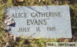 Alice Catherine Evans