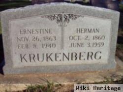 Ernestine Krukenberg