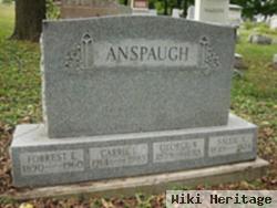 Sarah A Stogdill Anspaugh