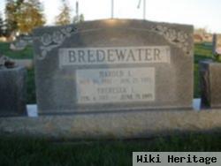 Harold L. Bredewater