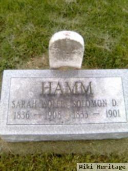 Solomon Danner Hamm