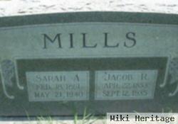 Sarah Ann "sallie" Kimbrough Mills