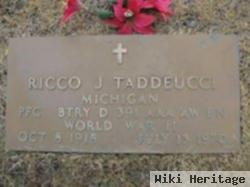 Ricco J. Taddeucci