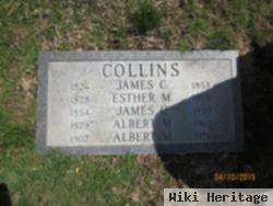 Albert M. Collins